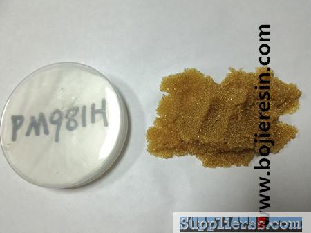 Ion exchange resin for lead removal
