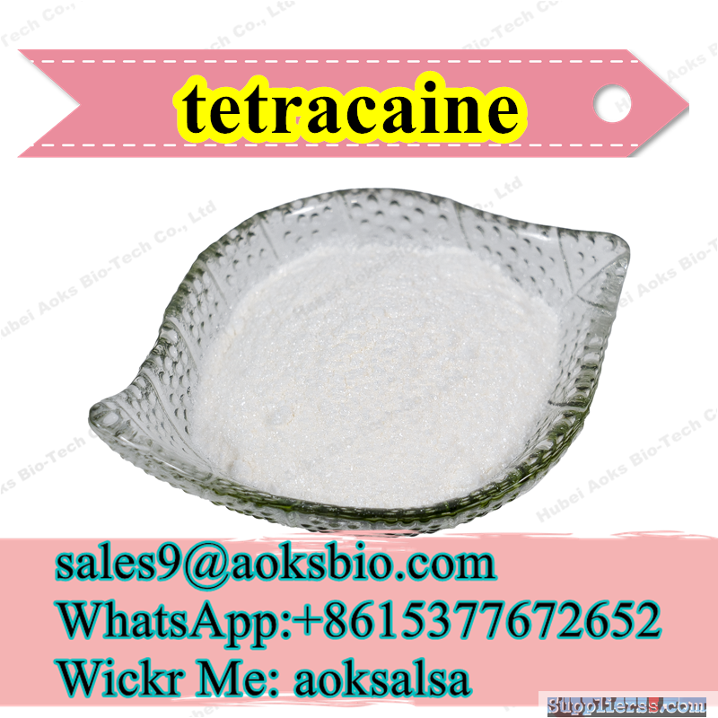 tetracaine base cas 94-24-6 tetracaine powder from China supplier WhatsApp008615377672652