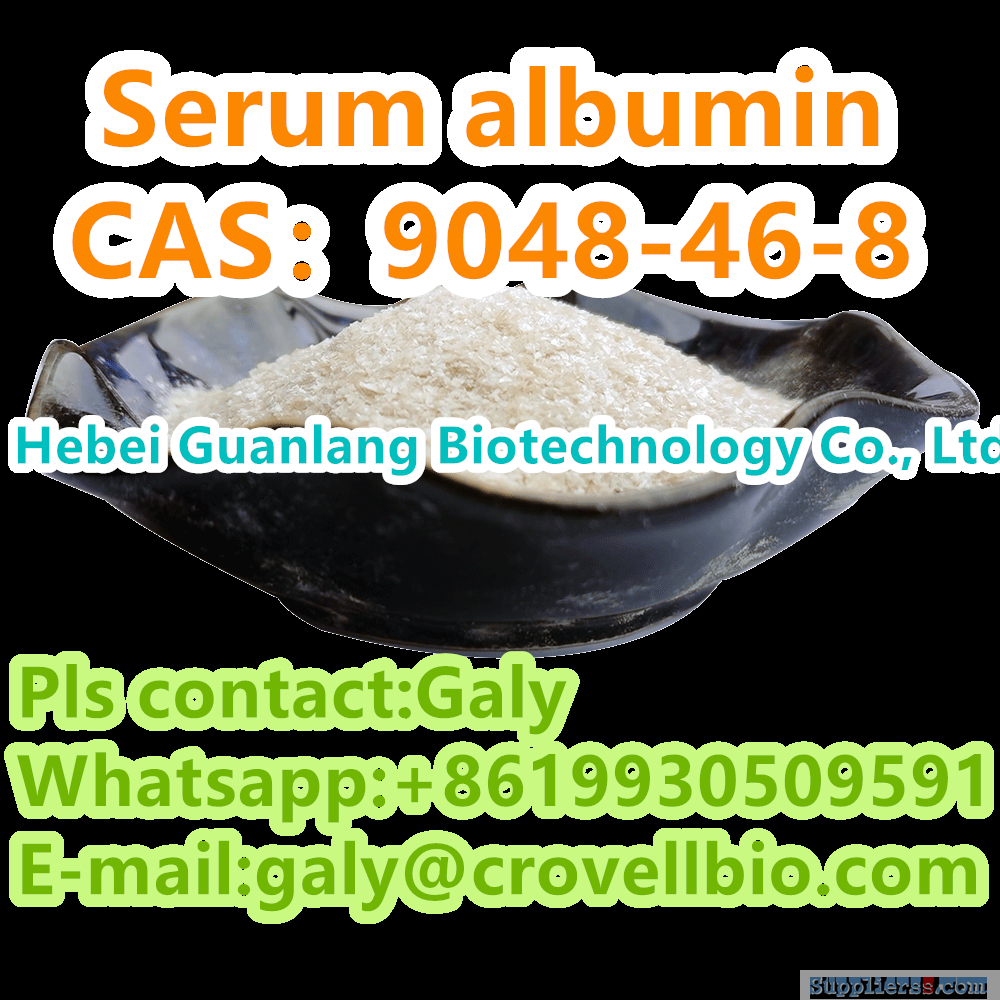 Bovine albumin CAS:9048-46-8 supplier in China whatsapp:+8619930509591
