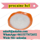 Procaine hcl/procaine hydrochloride cas 51-05-8 procaine powder procaine hcl supplier