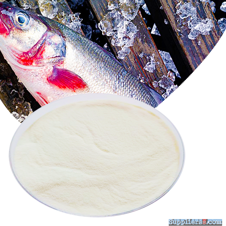 Factory low MOQ price OEM fish collagen peptide powder
