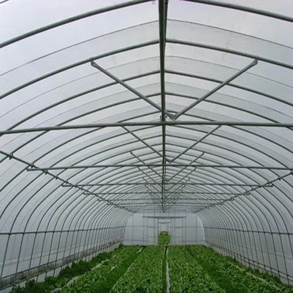 FRP Greenhouse Supporting28