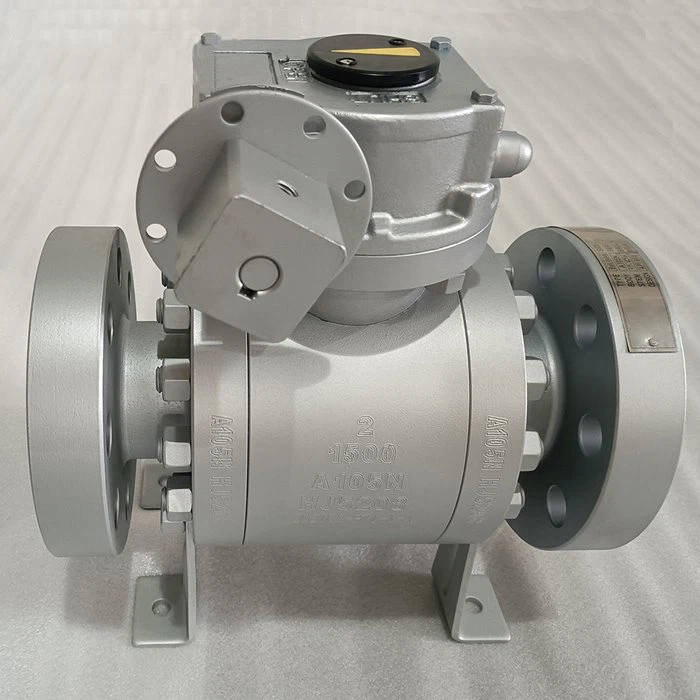 Forged Steel Floating Ball Valve14