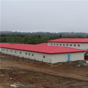 Container House Labor Camp