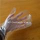 Transparent Embossed Plastic Gloves