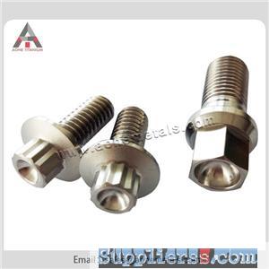 Pure Titanium Nuts and Screws with Bright Surface According to Customers Drawing