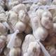 China Cangshan 4,6 Cloves Fresh Garlic Packed In Mesh Bags