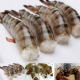 Frozen Prawn Vanamei/Shrimp RPND/Shrimp PDTO/Shrimp / PUD Red Shrimp, Black Tiger Shrimp
