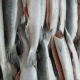Frozen Salmon Fillets / Frozen Salmon Backbones / Frozen Cod Fillets / Frozen Whole Lobste