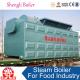 shengli Steam Boiler For Food Industry