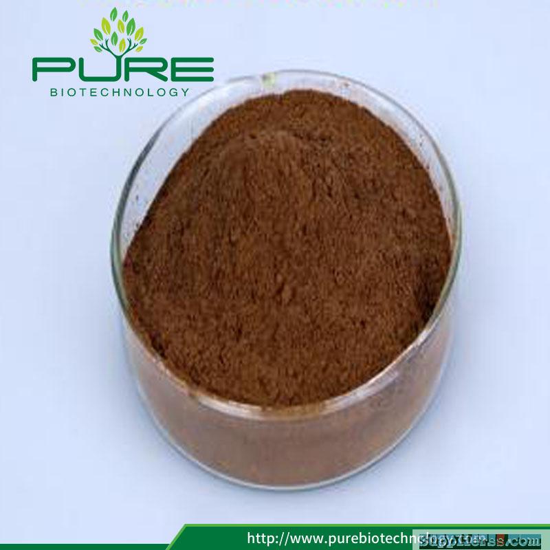 Schisandra chinensis extract powder