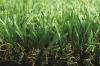 Commercial Artificial Grass MT-Promising MT-Marvel