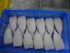 Processing and exporting frozen squid tubes squid rings