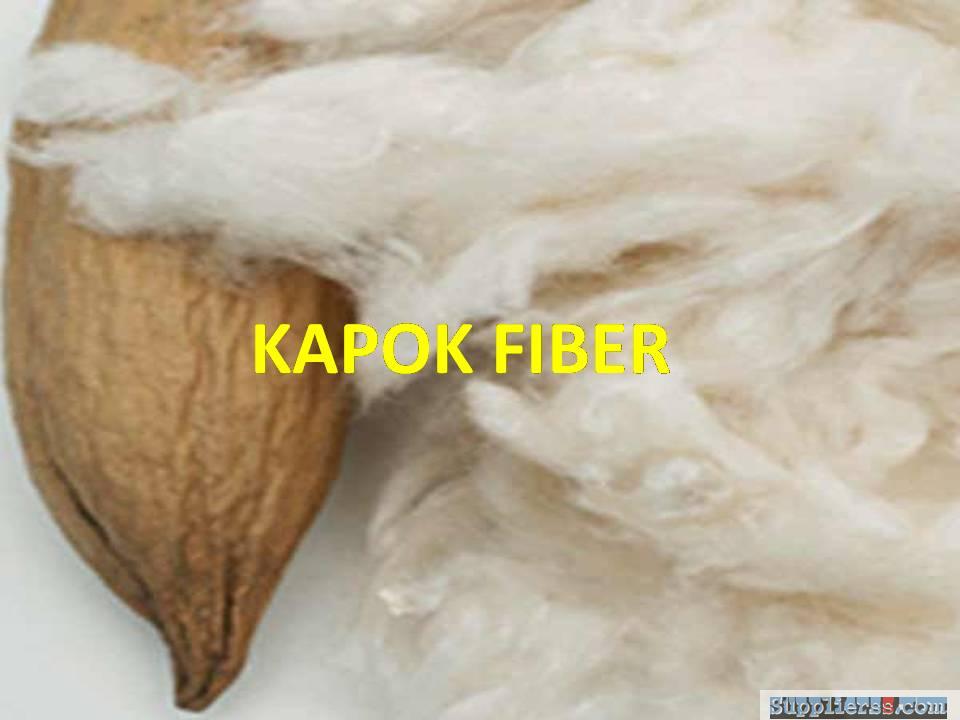 Kapok Fiber