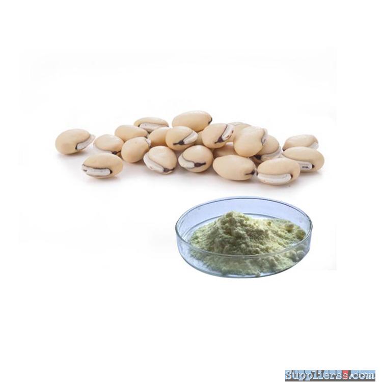 White Kidney Bean Extract Powder, P.E. 1%~2% Phaseolin weight loss products