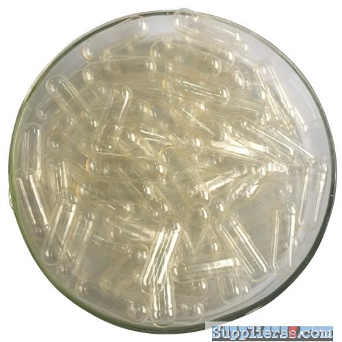 transparent transparent empty gelatin capsule shell