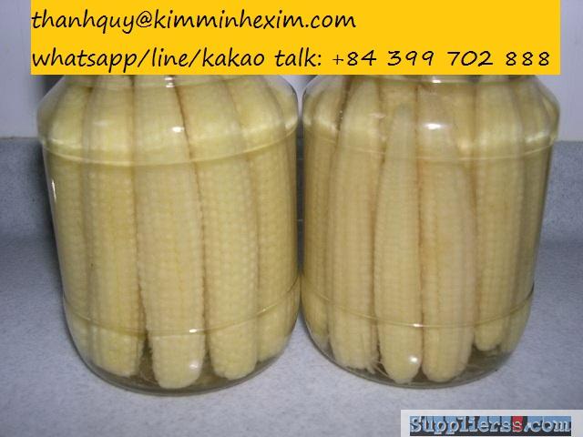 CANNED BABY CORN IN BRINE FROM VIET NAM