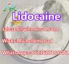 Best Quality Chemical Drugs Local Anesthetic for Pain Killer Lidocaine CAS 137-58-6