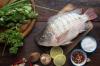 Fresh Tilapia Fish/Mullet Fish