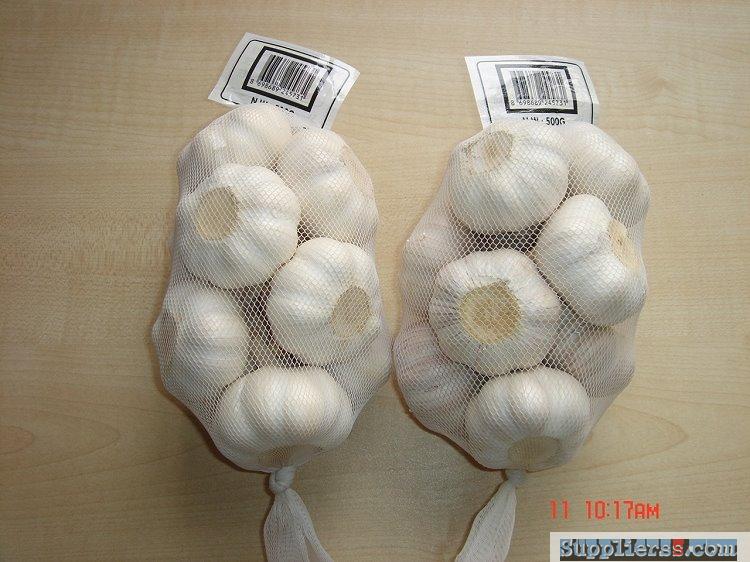 Prepack Normal White Garlic66