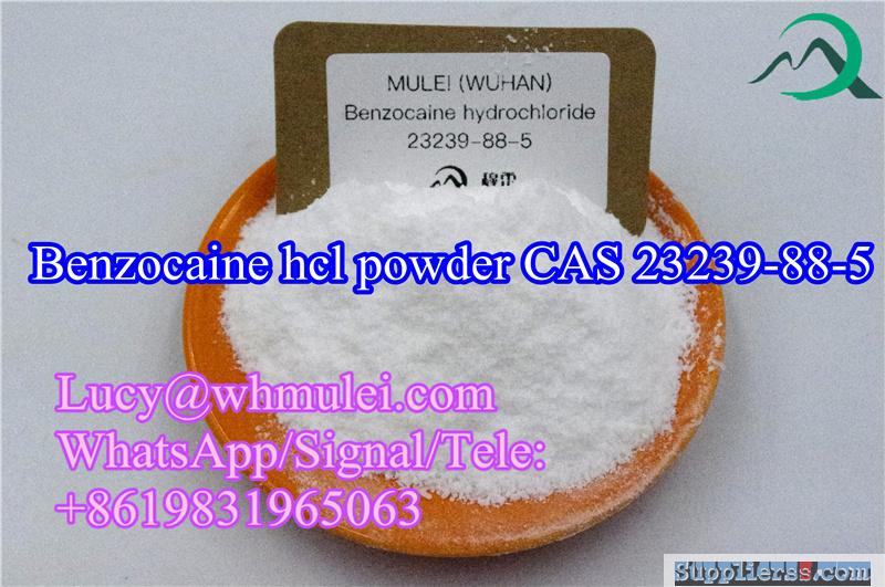 Pass UK Benzocaine hcl Powder CAS 23239-88-5 Local anesthetics drugs China Factory Direct 