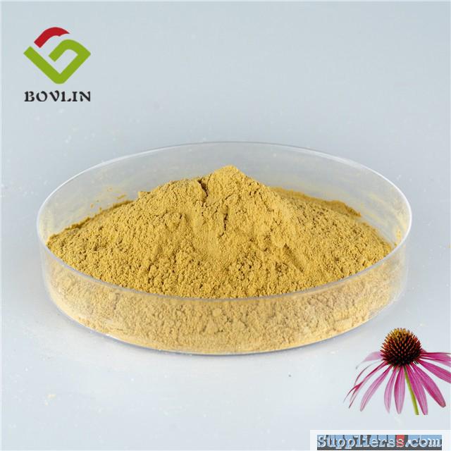 Echinacea Purpurea Extract Polyphenol Powder60