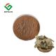 Herbal Extract Natural Kacip Fatimah Extract 20: 1Labisia Pumila Extract WIth Low Price12