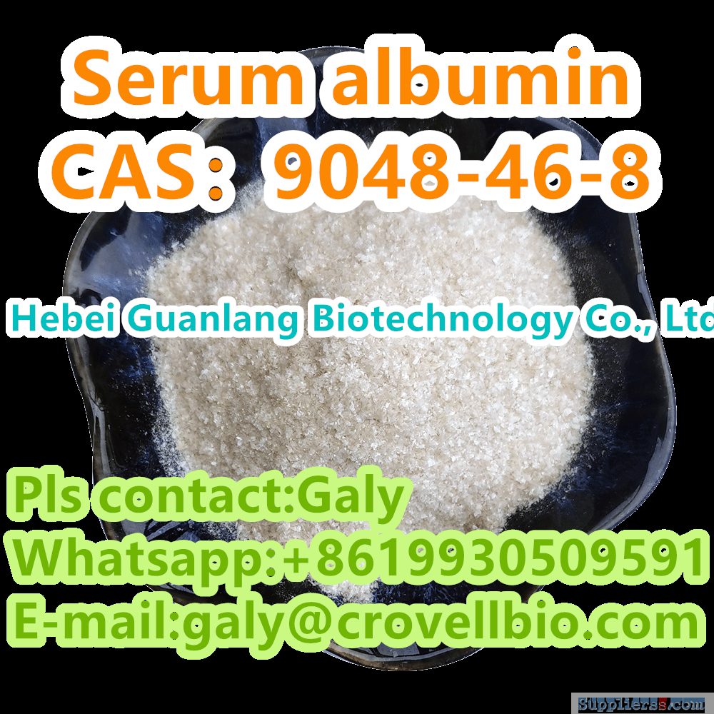 Bovine albumin CAS:9048-46-8 professional manufacture whatsapp:+8619930509591