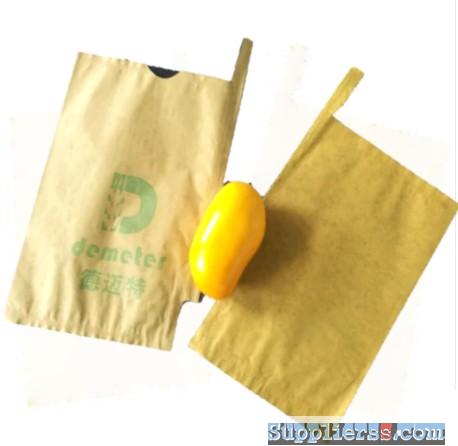 Anti Pests Mango Protection Bags Waterproof Paper Fruit Bags