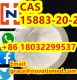 Manufacture/ CAS15883-20-2/N-(2,6-Dimethylphenl)-2-Piperidine Carboxamide
