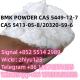 BMK Powder CAS 5449-12-7